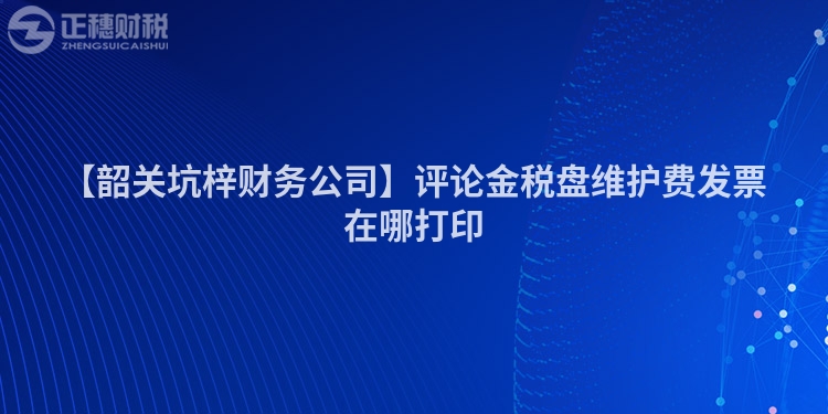 【韶關坑梓財務公司】評論金稅盤維護費發票在哪打印