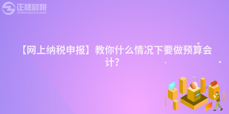 【網(wǎng)上納稅申報】教你什么情況下要做預算會計？