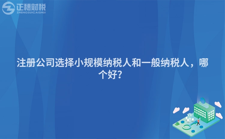 注冊公司選擇小規(guī)模納稅人和一般納稅人，哪個好？