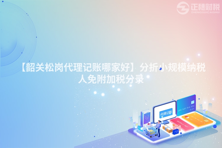 【韶關松崗代理記賬哪家好】分折小規模納稅人免附加稅分錄