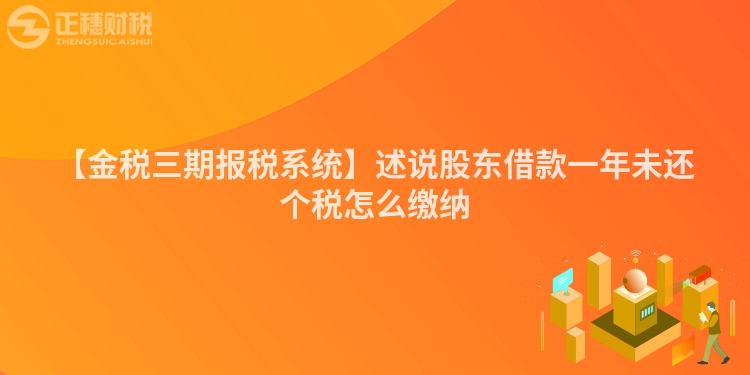 【金稅三期報(bào)稅系統(tǒng)】述說(shuō)股東借款一年未還個(gè)稅怎么繳納