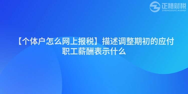 【個體戶怎么網(wǎng)上報稅】描述調(diào)整期初的應(yīng)付職工薪酬表示什么