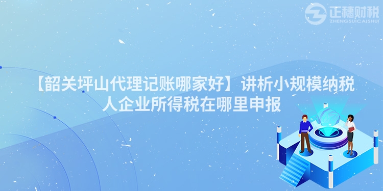 【韶關坪山代理記賬哪家好】講析小規模納稅人企業所得稅在哪里申報