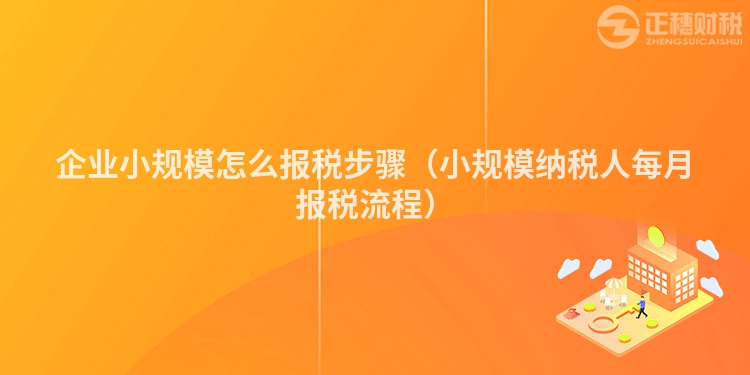 企業小規模怎么報稅步驟(小規模納稅人每月報稅流程)