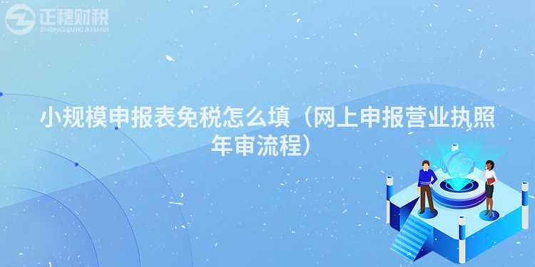 小規模申報表免稅怎么填(網上申報營業執照年審流程)