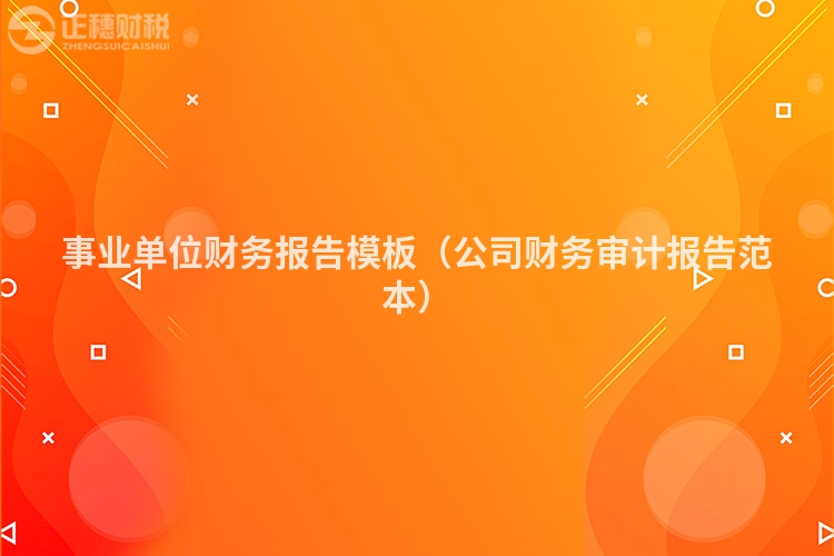 事業單位財務報告模板(公司財務審計報告范本)