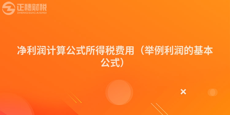 凈利潤計算公式所得稅費用(舉例利潤的基本公式)