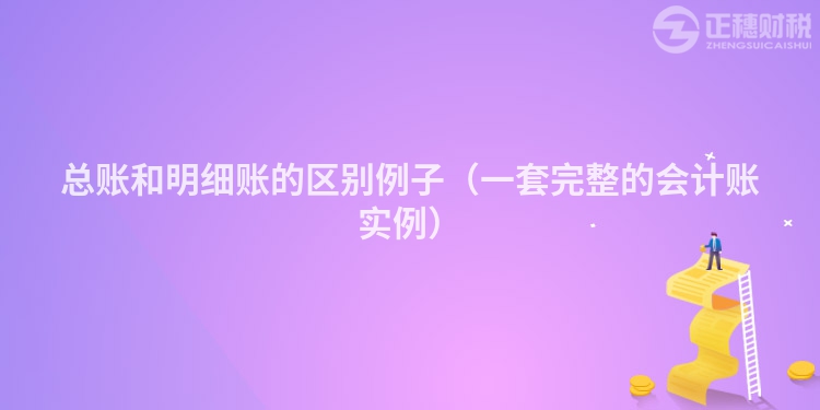 總賬和明細賬的區別例子(一套完整的會計賬實例)