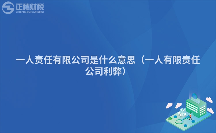 一人責(zé)任有限公司是什么意思(一人有限責(zé)任公司利弊)
