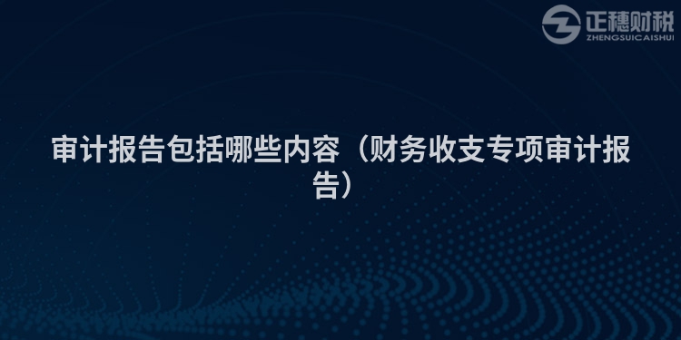 審計報告包括哪些內容(財務收支專項審計報告)