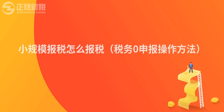 小規模報稅怎么報稅（稅務0申報操作方法）